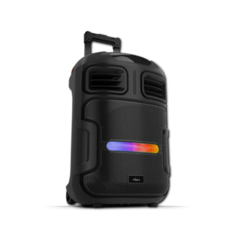 Party Speaker